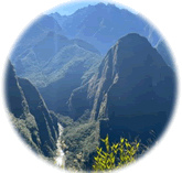 Ana Claudia Tuma Zacarias